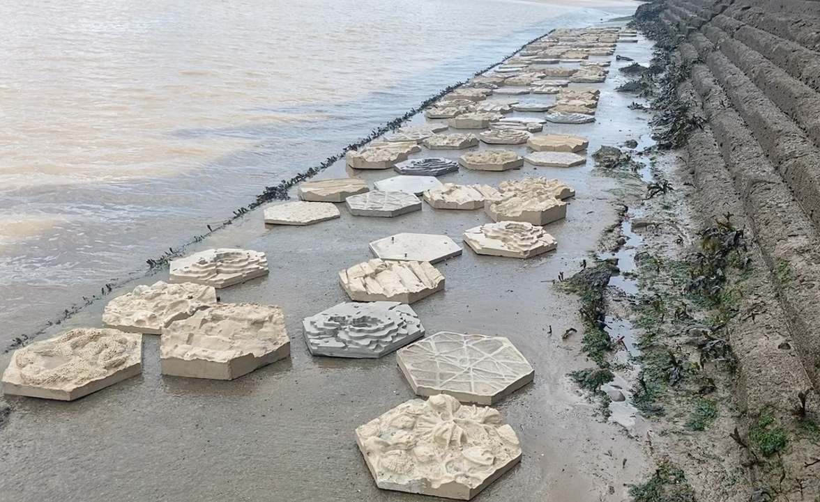 porthcawl 8